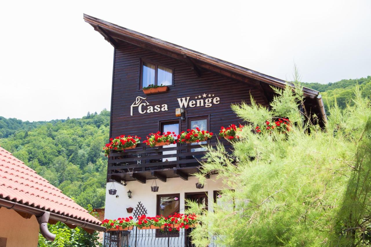 Pension Casa Wenge Синая Экстерьер фото